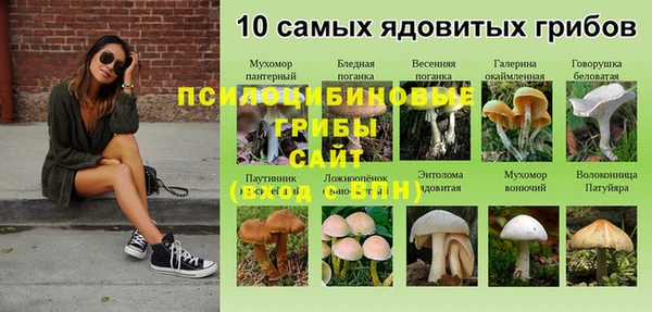 мескалин Аркадак