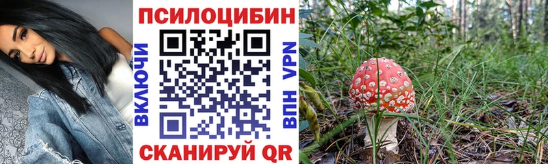 Псилоцибиновые грибы MAGIC MUSHROOMS  Сольвычегодск 