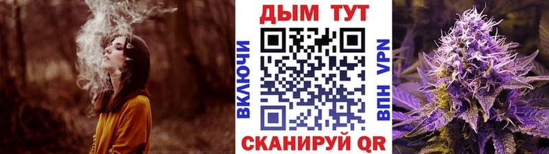 Бошки Шишки планчик Сольвычегодск